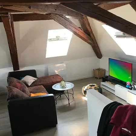 2 Pieces Atypique Apartment Schiltigheim