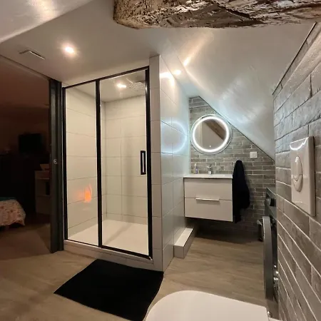 2 Pieces Atypique Apartment Schiltigheim