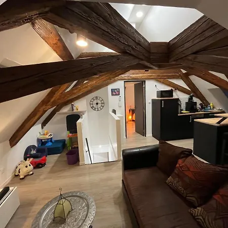 Apartment 2 Pieces Atypique Schiltigheim