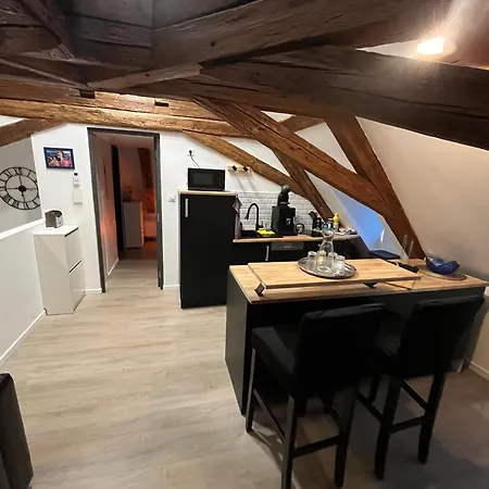 Apartment 2 Pieces Atypique Schiltigheim