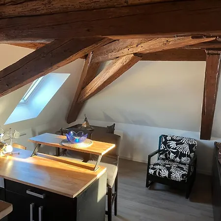2 Pieces Atypique Appartement Schiltigheim